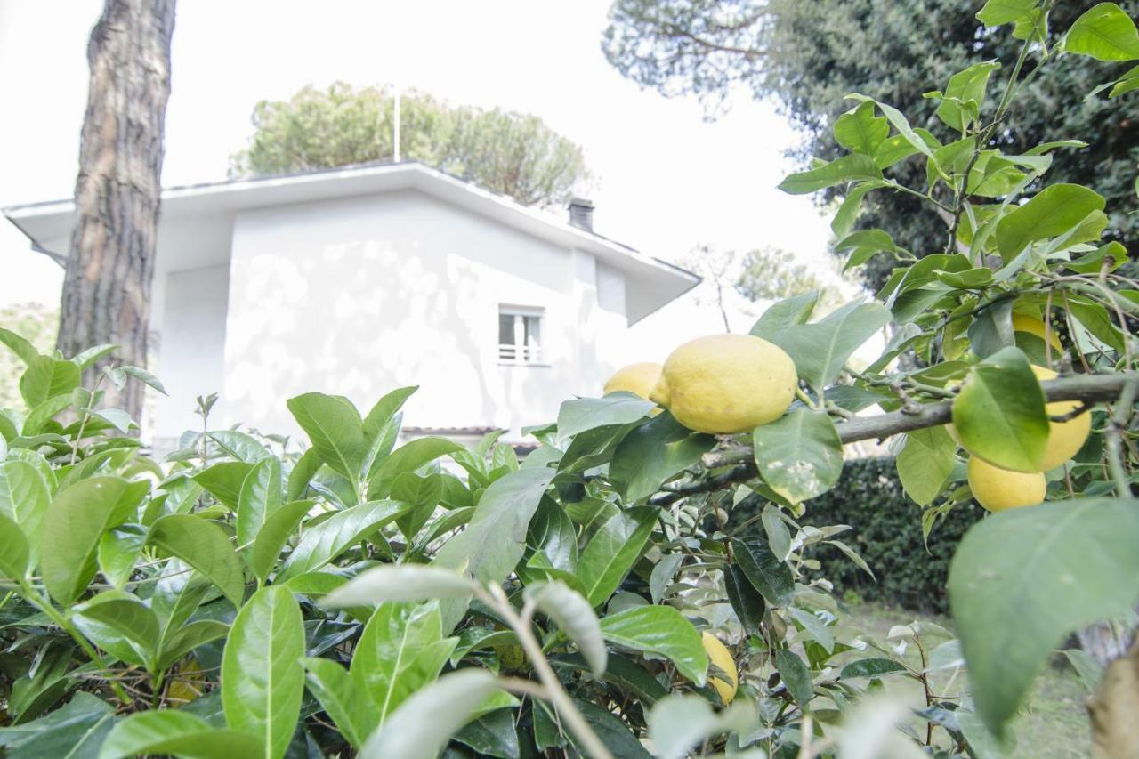 Appartamenti Federica Milano Marittima Exterior photo